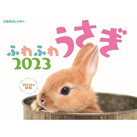 JTBのカレンダー ふわふわうさぎ 2023 壁掛け 干支