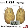 UN brand Potato Clock