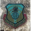 USAF Subdued Patch - 170th Air Refueling Squadron ARS Global
