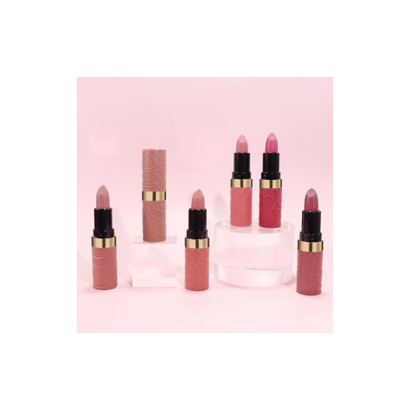 evpct- Juego de 6 pintalabios mate color piel, marrón, rosa,