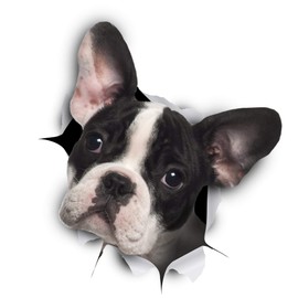 Winston & Bear 3D Dog Stickers - 2 Pack - Black and White French Bulldog Stickers for Wall, Fridge, Toilet and More - Retail Packaged Pied Frenchie Stickers