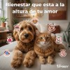 Super Salmon Oil Islandia | Omega-3 Perros Y Gatos 500ml