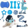 Juego de Juguetes para Perros de 10 Piezas - Juguetes