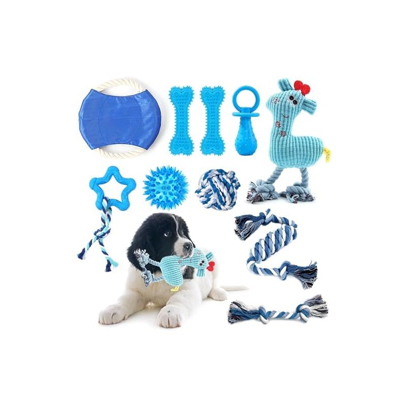 Juego de Juguetes para Perros de 10 Piezas - Juguetes