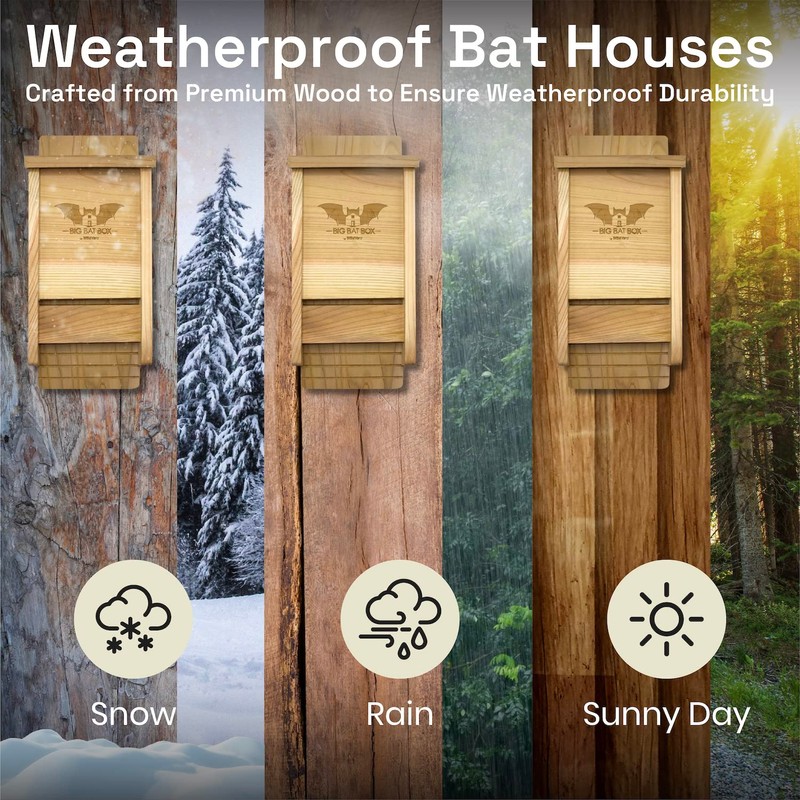 Bat House for Outdoors - The Complete Bat Box for
