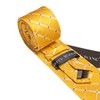 Barry.Wang Yellow Tie with Tie Clip for Men Plaid Silk