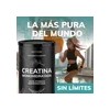 Creatina Monohidratada Micronizada 450g | Alta Pureza | Gym