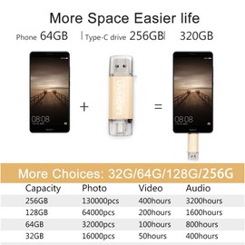 LEIZHAN 256GB 3.0 OTG USB Flash Drive 3.1 Type-C Dual Plug Memory Stick Pen Drive For Type-C Smart Android Phone U Disk (256GB, Gold)