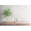 Wall Space 6x6 Oak Frame | Square 6x6 Photo Frame