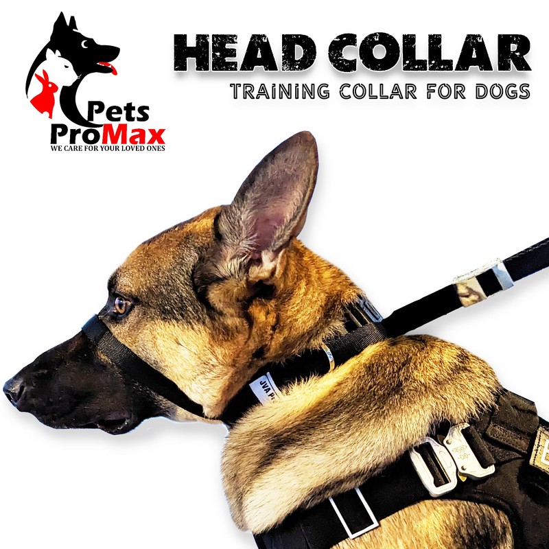 PetsProMax No-Pull Dog Headcollar for Large Dogs (Size L) -