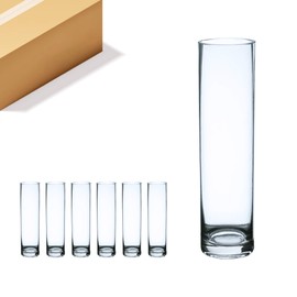 WGV Cylinder Bud Vase Bulk, Width 2", Height 8", Clear Skinny Narrow Standard Hurricane Floral Container Centerpiece for Wedding Party Event Home Office Decor, 6 Pieces