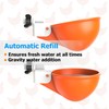 Large Automatic Chicken Waterer Cups with Inserts, Chicken Water Feeder