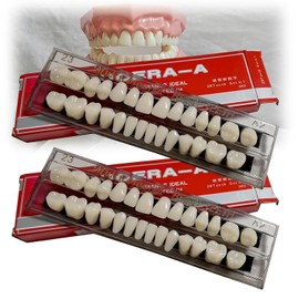 2 Juegos de Dentaduras Postizas de Resina Sintética Dental, Dientes Enteros de Polímero Sintético para Dientes de Terror de Halloween (56 Piezas)