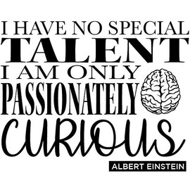Newclew I Have no Special Talents. I am only Passionately Curious. -Albert Einstein Removable Vinyl Wall Art Quotes Saying Home Decor Decal Sticker (22''W x 17''H)
