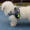 Dog Accessory Ball Holder - Leash Attachment, Lightweight Silicone for