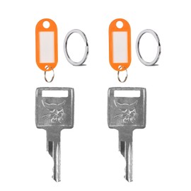D250 Ignition Keys 6693241 6709527 A77313 307852A1 714602 Replacement for Bobcat Skid Steer Loader A220 A300 T110 T140 T180 T190 T200 T250 T300 T320 T450 T550 S100 S130 S150(2-Pack)