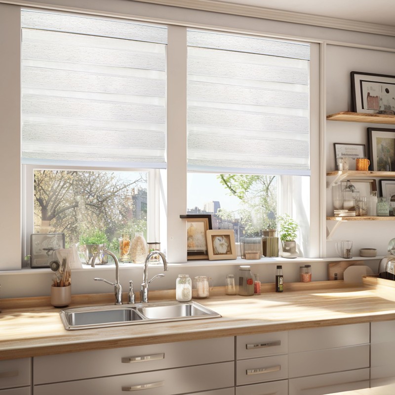 CHICOLOGY Zebra Blinds, Roller Window Shades, Blinds for Windows, Roller