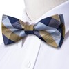 Dubulle Blue Brown Bowtie for Men Paisley Floral Mens Pretied