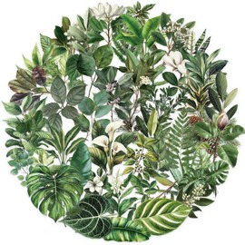 50 Pcs Lovely Leaves Stickers Water Bottles Waterproof Plant Sticker Pack Transparent Vinyl Decals for Laptop Phone Car Luggage Skateboard Guitar Party Favors &Gifts for Adults Teens Girls