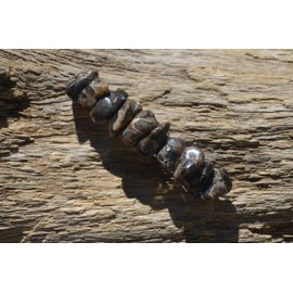 Turritella Stones on a Silver French Barrette Hair Clip