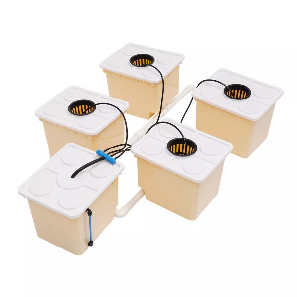 Unbranded Hydroponics Deep Water Culture DWC Hydroponic System buckets Drip