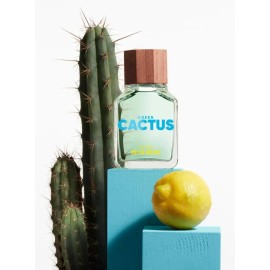 United Colors of Benetton Benetton Green Cactus For Him.