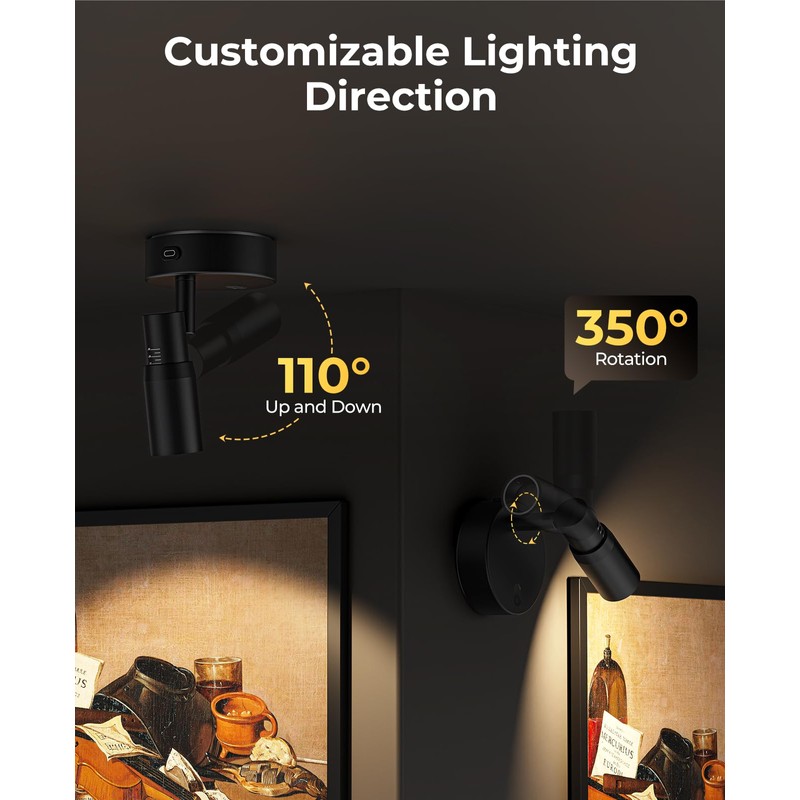 PESUTEN Zoomable Spot Lights Indoor, Rechargeable Picture Light with Remote,