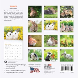 RED EMBER Bunnies 2025 Wall Calendar 12 Month | 12" x 24" Open | Thick & Sturdy Paper | Giftable | Calendar 2025