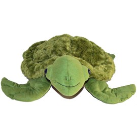 SID The Weighted SEA Turtle