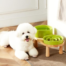 MOPANG Ceramic Slow Feeder Dog Bowl and Water Bowl Set for Medium and Large Breed, Ceramic Dog Bowls Elevated with Wooden Stand, 2.0 Cups Dog Slow Feeder(30oz) and 70oz Water Bowl Set, Green