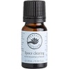 Perfect Potion Space Clearing Blend 10 ml