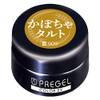 PRE GEL (プリジェル) Color EX Pumpkin Tart 3g PG-CE909, UV/LED