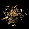 T2 Tea Morning Sunshine Black Tea, Loose Leaf Black Tea