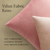 MIULEE Velvet Throw Pillow Covers 18x18 Inch, Pack of 2