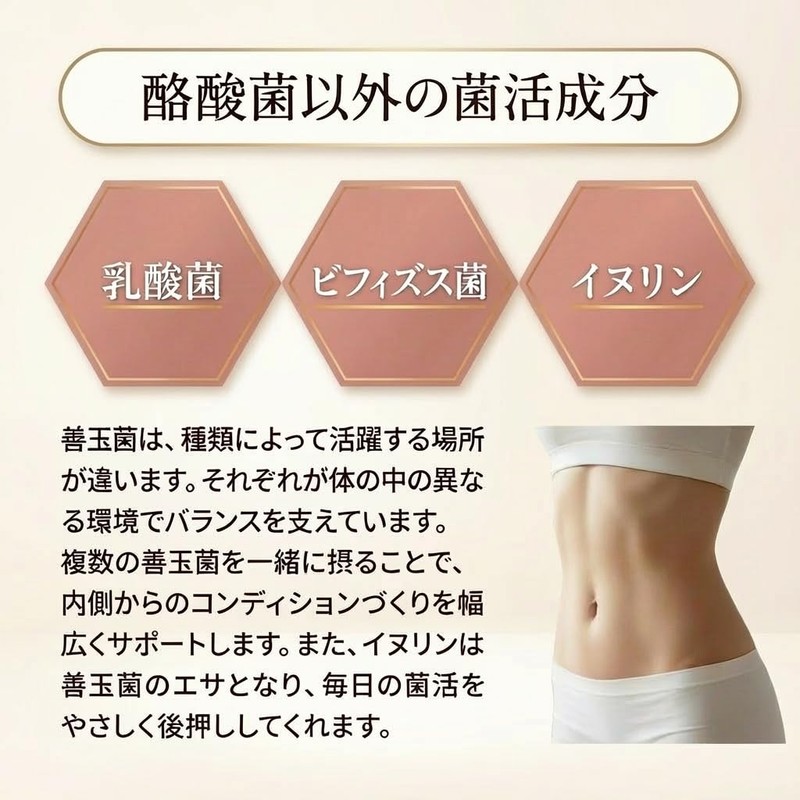 完全食 ソイプロテイン 600g 酪酸菌 乳酸菌 たんぱく質27g 完全栄養食 ダイエット 置き換えダイエット ココア味