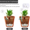 Voarge Pack of 12 Small Watering Balls, Potted Plants, Self-Watering,