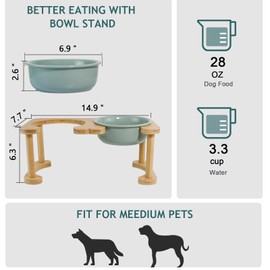Elevated Ceramic Dog Bowls, Raised Dog Bowl with Anti-Slip Stand, Pet Feeding Dishes for Medium Sized Dogs, Modern Pet Feeder Bowl, Dog Food & Water Bowl Set (6.3" Tall-28oz-Light Green)
