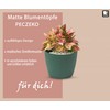 TULMERO Matte Flower Pot, Plastic Planter, Decorative Pot for Large