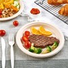 Vplus 500 Pack Paper Plates 9 inch 100% Compostable, Heavy-Duty