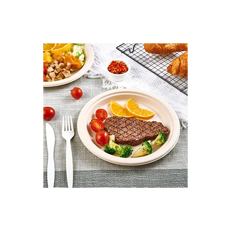 Vplus 500 Pack Paper Plates 9 inch 100% Compostable, Heavy-Duty