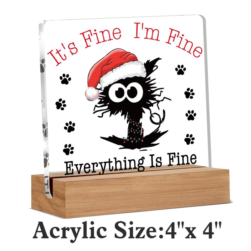 Funny Christmas Gifts, Christmas Cat Decorations for Home, Everything is