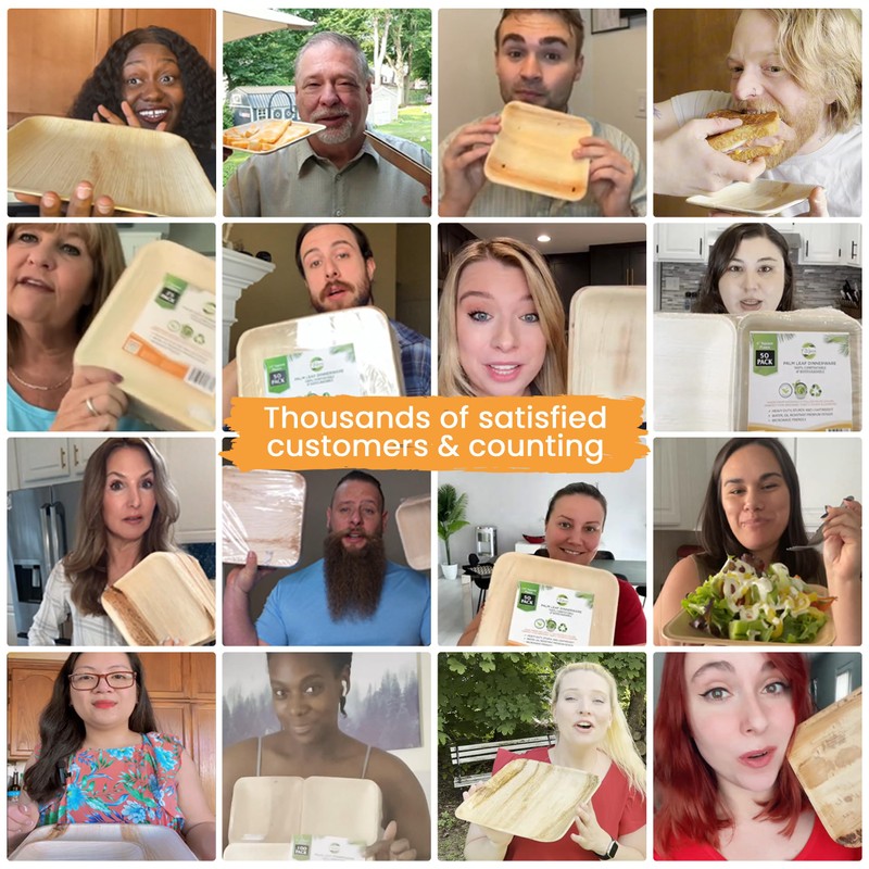 Raj Disposable Palm Leaf Plates [100-Pack] Large Square Plates Strong