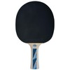Donic-Schildkröt Legends 700 FSC Table Tennis Bat, AVS & Ergo