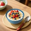 Wrova 6-piece Wheat Straw Bowls sets 26oz,Alternative Plastic Bowls Reusable