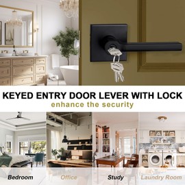 HISAFE Keyed Entry Door Lever with Lock, Heavy Duty Square Interior Handle for Front Door and Office, Matte Black, Reversible for Right&Left Handed, 2Packs
