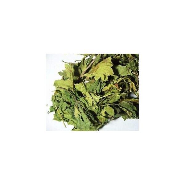 Herbal Cure - Mulberry Leaf 300g 桑叶