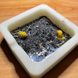 Lindo cenicero – Bandeja de cenizas de pato de resina, ornamental, decoración del hogar, cenicero de pato, diseño hecho en casa, fresco, cuatro agujeros