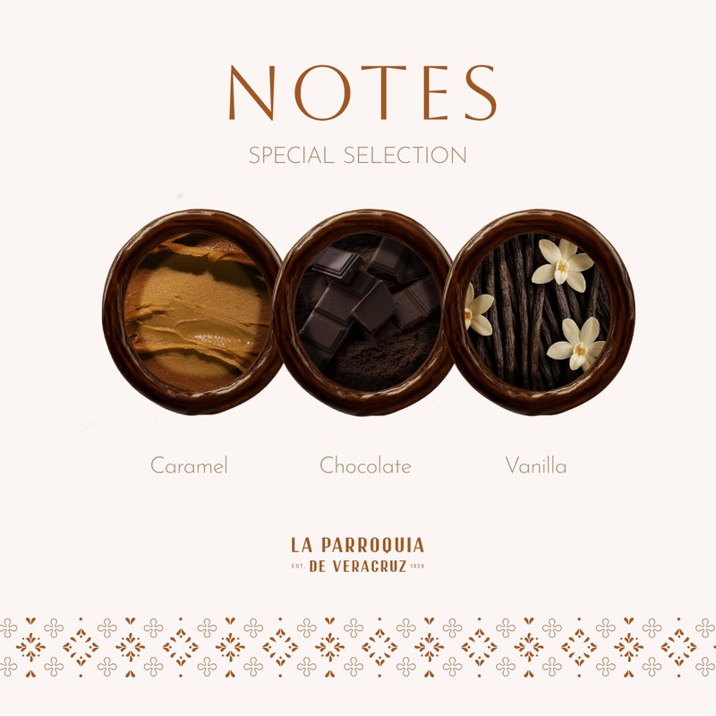La Parroquia de Veracruz – Special Edition Instant Coffee, 12