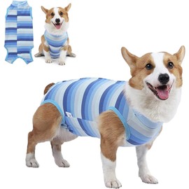 Dog Recovery Suit for Abdominal Wounds or Skin Diseases, Breathable Dog Surgery Recovery Suit for Dogs, E-Collar Alternative After Surgery Wear Anti Licking Wounds (Blue, M)