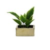 WGV Gold Scratched Square Ceramic Vase, Width 8", Height 4",